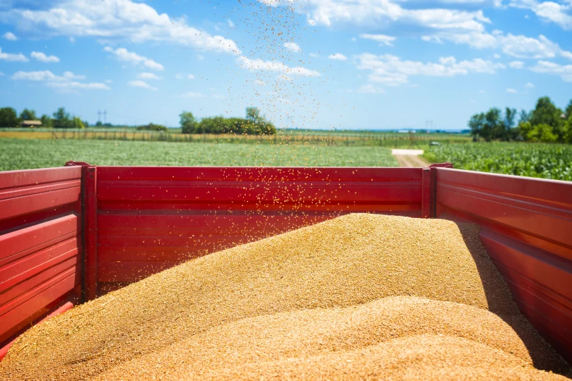 If you haul grain, buy your grain haulers insurance from Werner Insurance. 651-437-9200