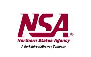 nsa-ins.webp